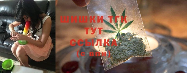 сатива Медногорск