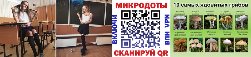 mega ссылки  Инсар  Псилоцибиновые грибы Psilocybe 